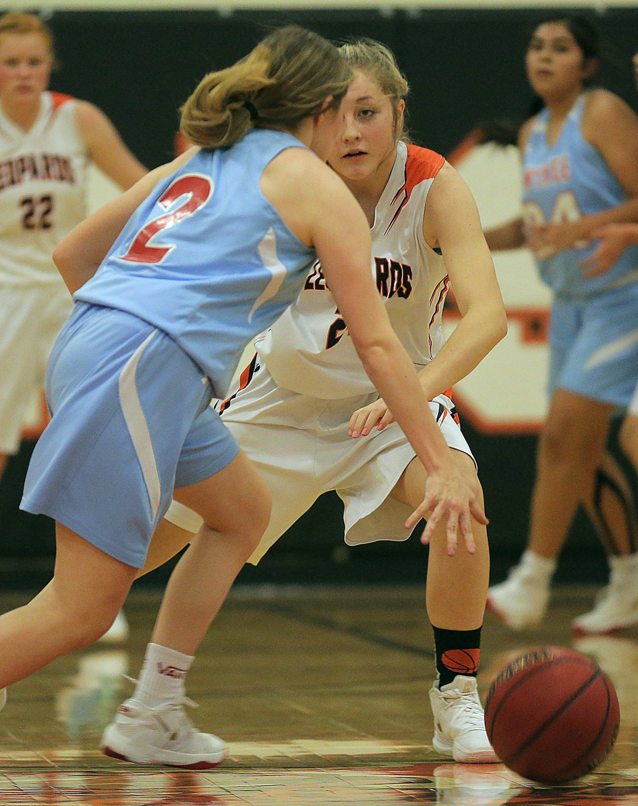 Owyhee at Wells Girls Basketball (32).jpg